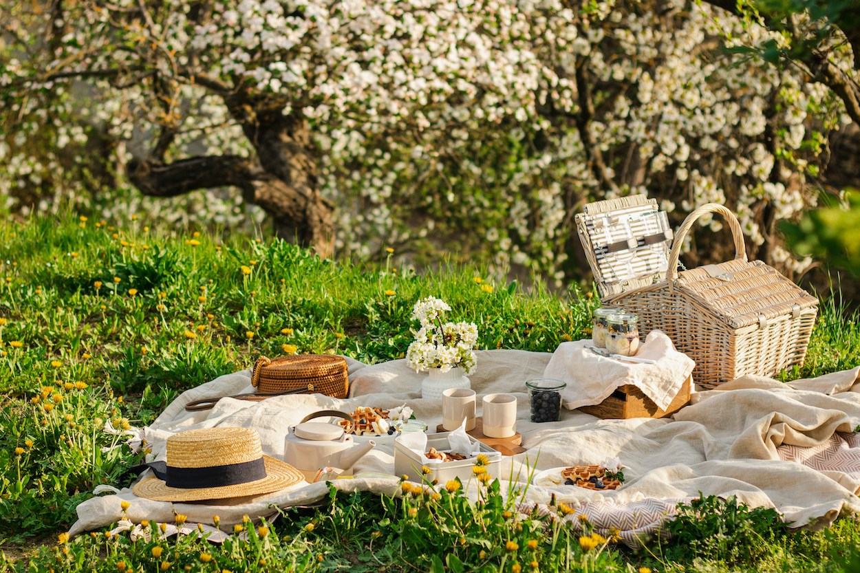 picnic picnic